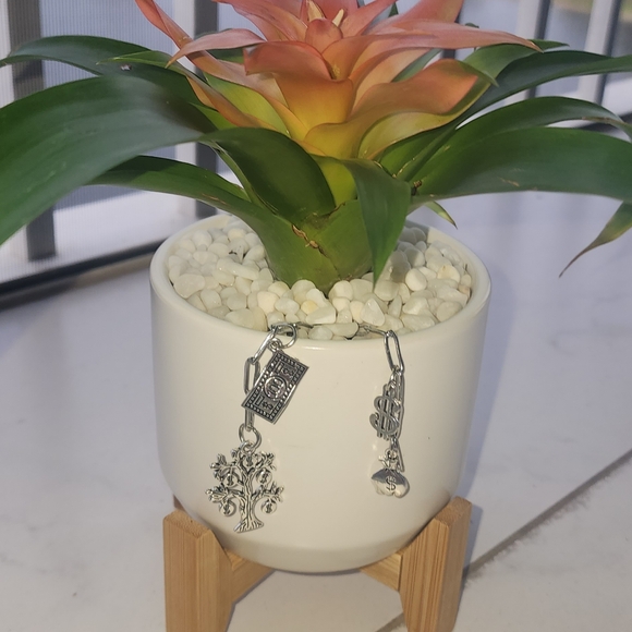 MONEY TREE - Manifest Wealth (Live Plant) - Picture 7 of 8